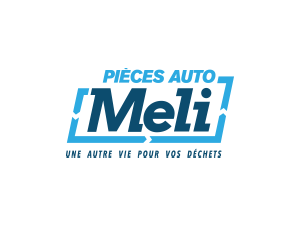 meli-piece-auto-carte-2.png