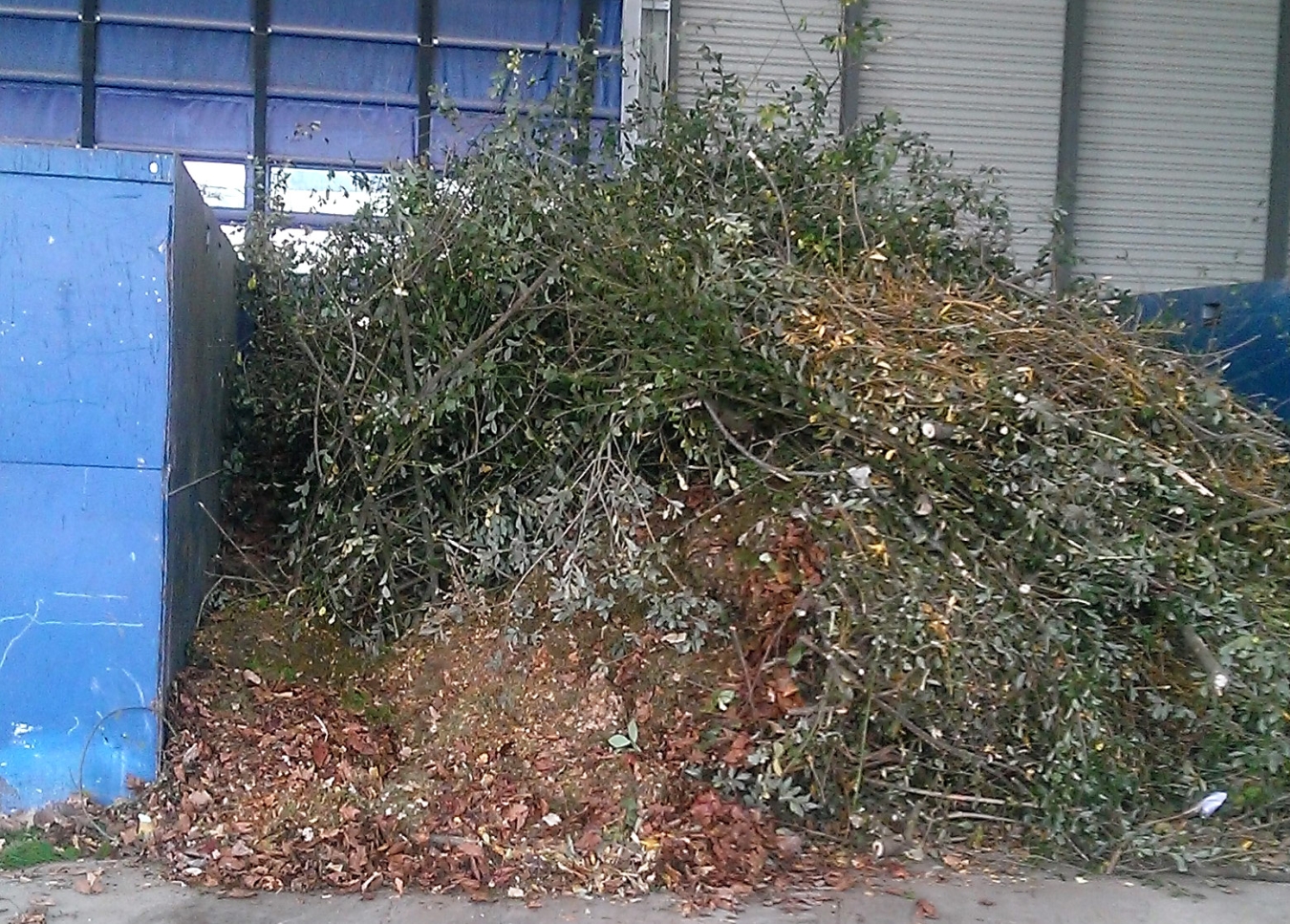 Recyclage des végétaux